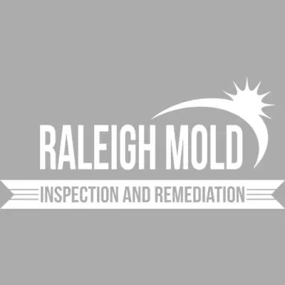 Raleigh Mold Inspection and Remediation