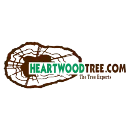 Heartwood Tree Care