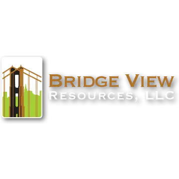 BRIDGE VIEW RESOURCES, LLC
