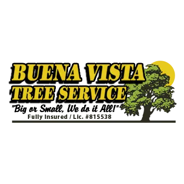 Buena Vista Tree Service