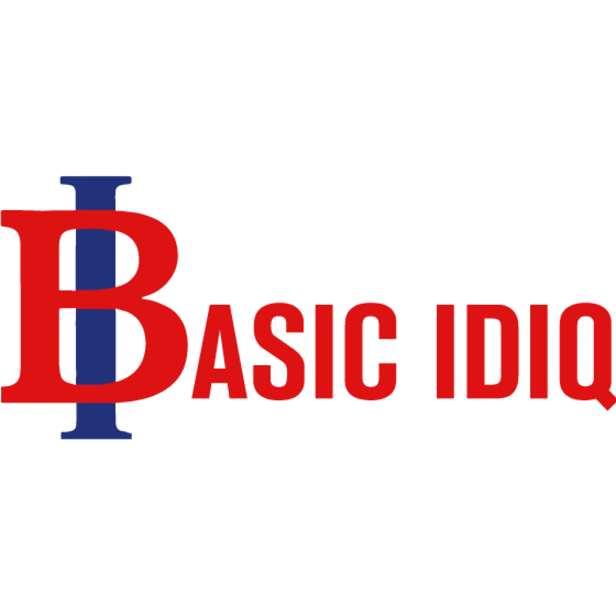 BASIC IDIQ INC