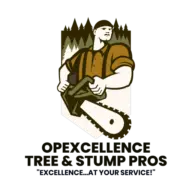 OpExcellence Facility Services