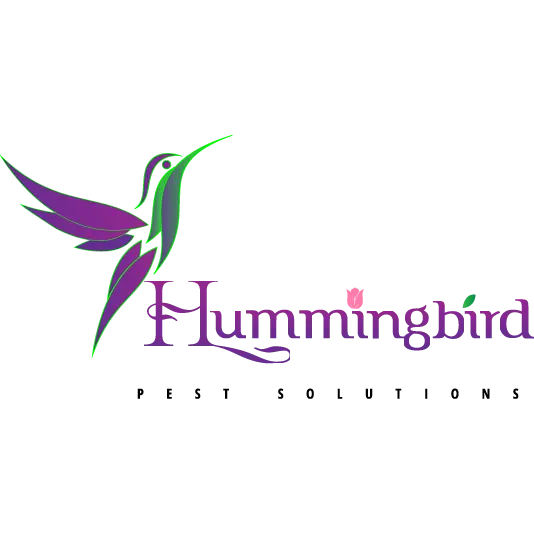 Hummingbird Pest Solutions