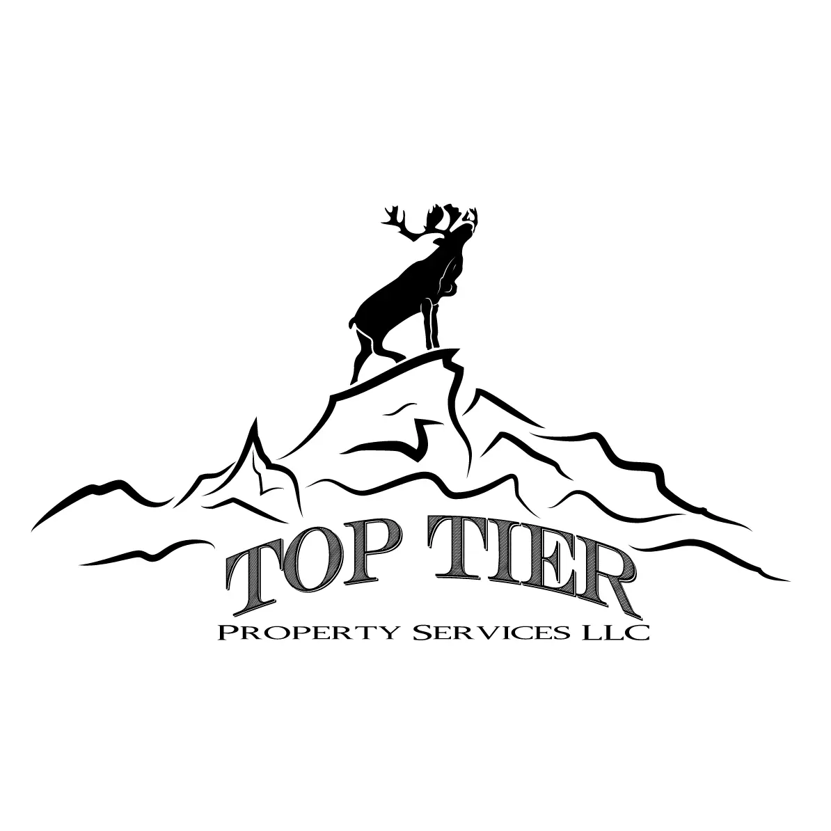 Top Tier Property Services LLC