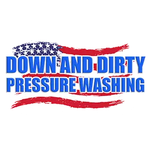 Down & Dirty Pressure Washing