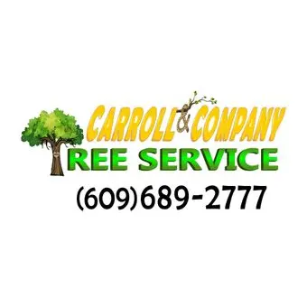 Carroll and Company Tree Service