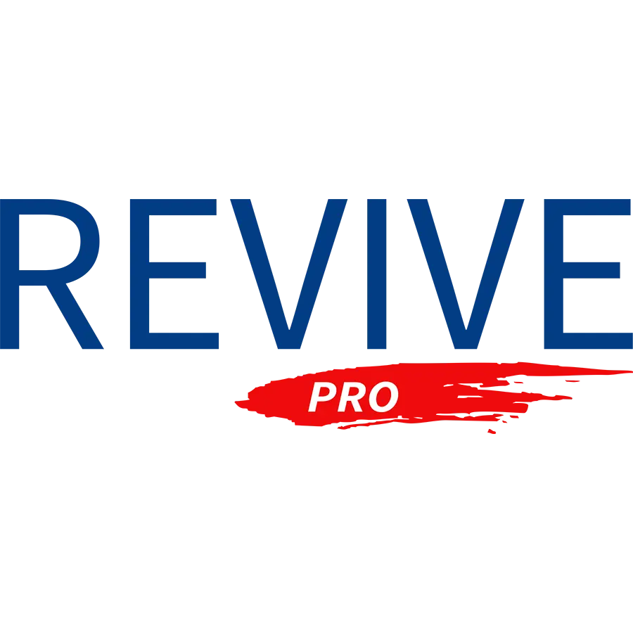 Revive Pro Painting