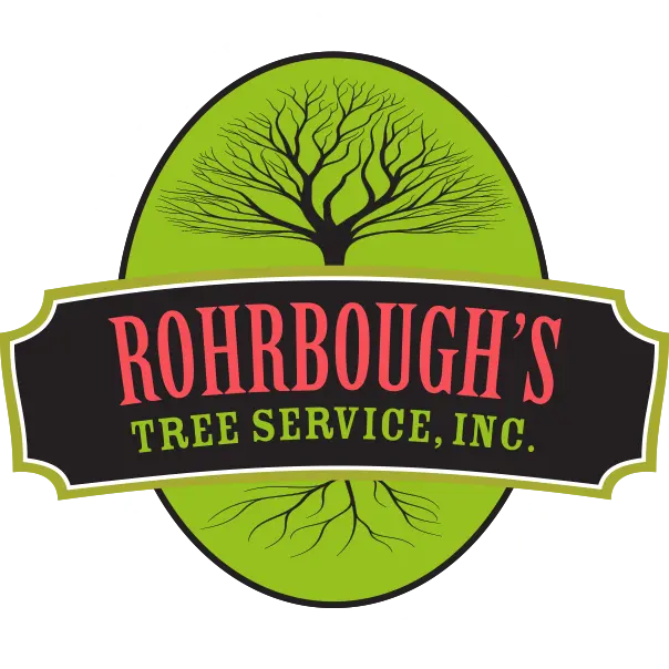 ROHRBOUGH'S TREE SERVICE INC