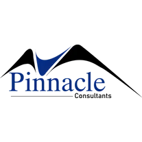 PINNACLE CONSULTANTS LLC