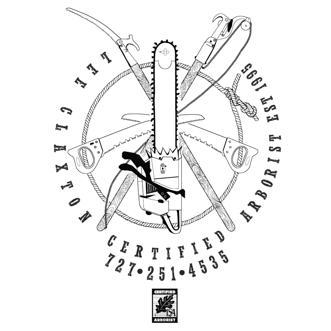 Lee Claxton Arborist