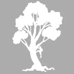 Santamaria Tree Removal