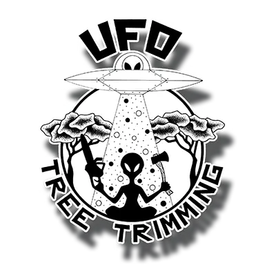 FATHER & SON TREE SERVICE