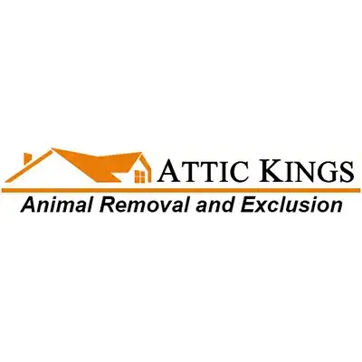 Attic Kings Inc