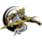 Olympus Electric & Solar LLC