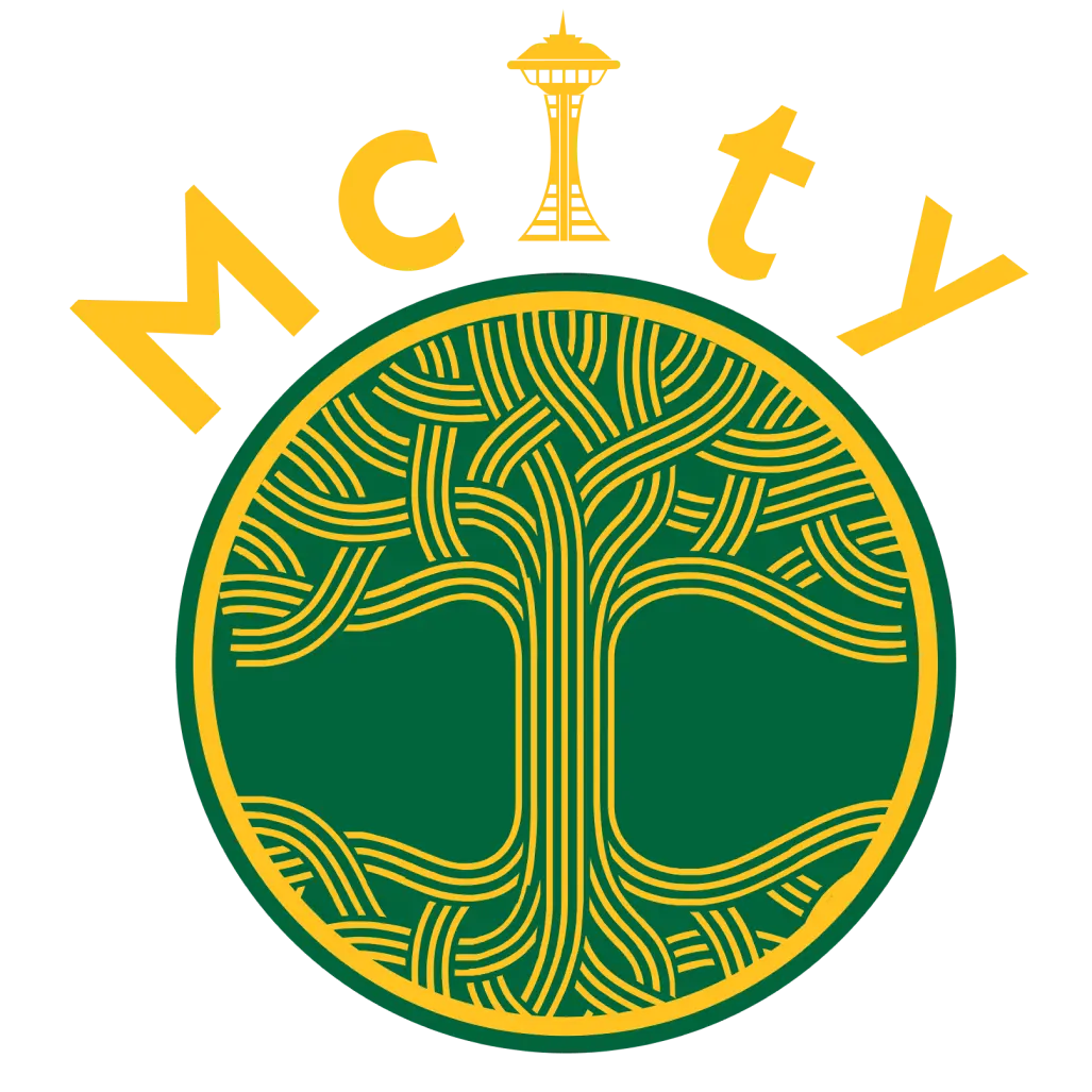 M CITY STREET SWEEPERS