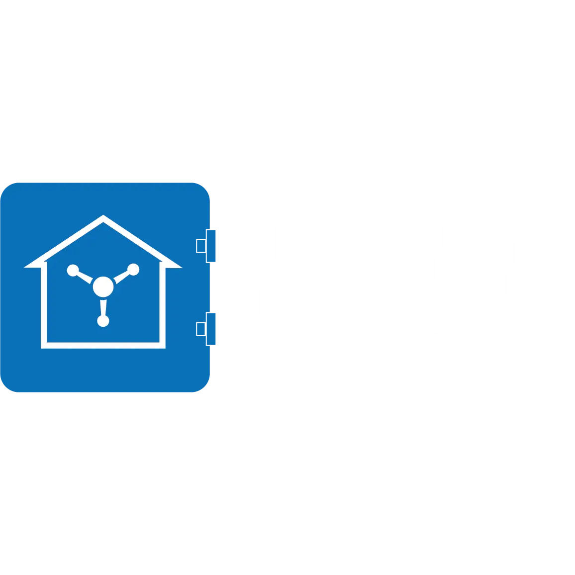 SAFE INSURANCE COMPANY