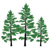 EVERGREEN ENTERPRISES TREE SERVICES
