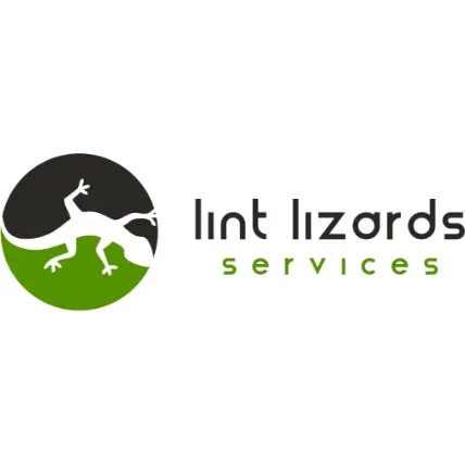 Lint Lizards Services LLC