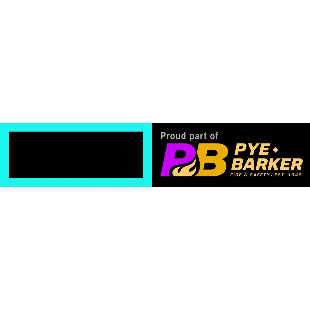 Cincinnati Alarm Systems, Inc.