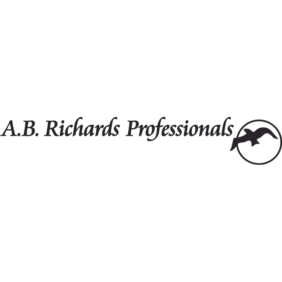 A.B. Richards Professionals, Inc.