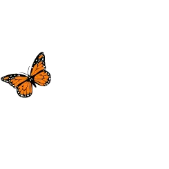 Dr. Dan's Landscaping & Architectural Design