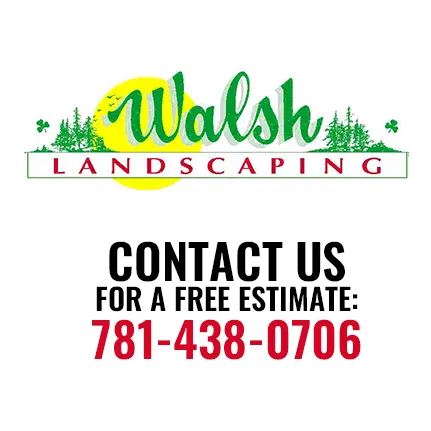 Walsh Landscaping, Inc.