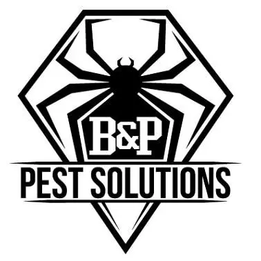 B&P Pest Solutions LLC