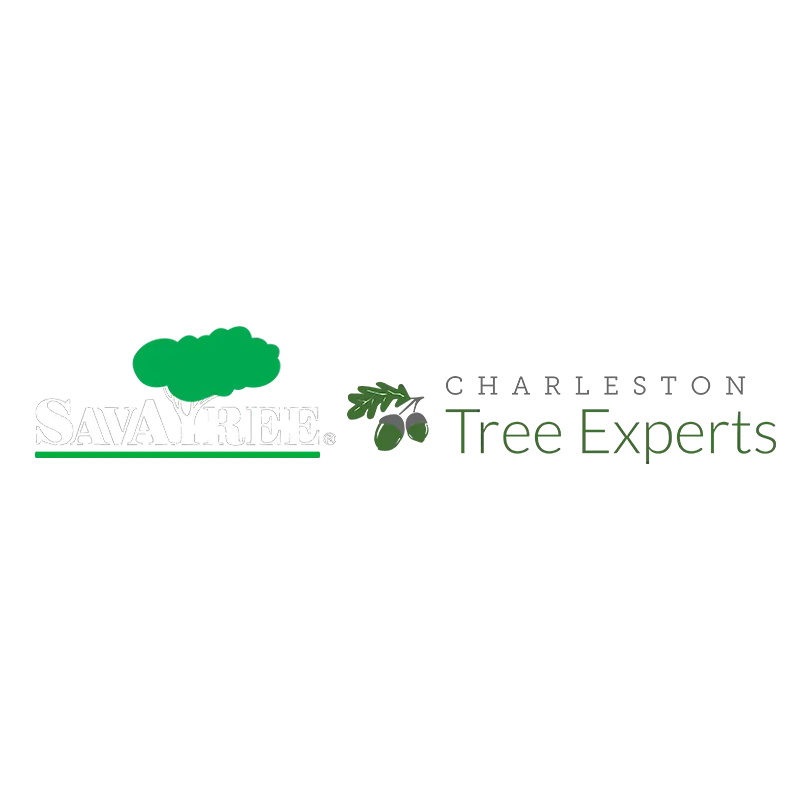 CHARLESTON TREE EXPERTS LLC