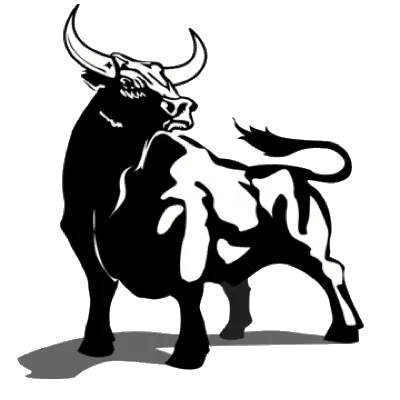 Bull Epoxy Solutions LLC