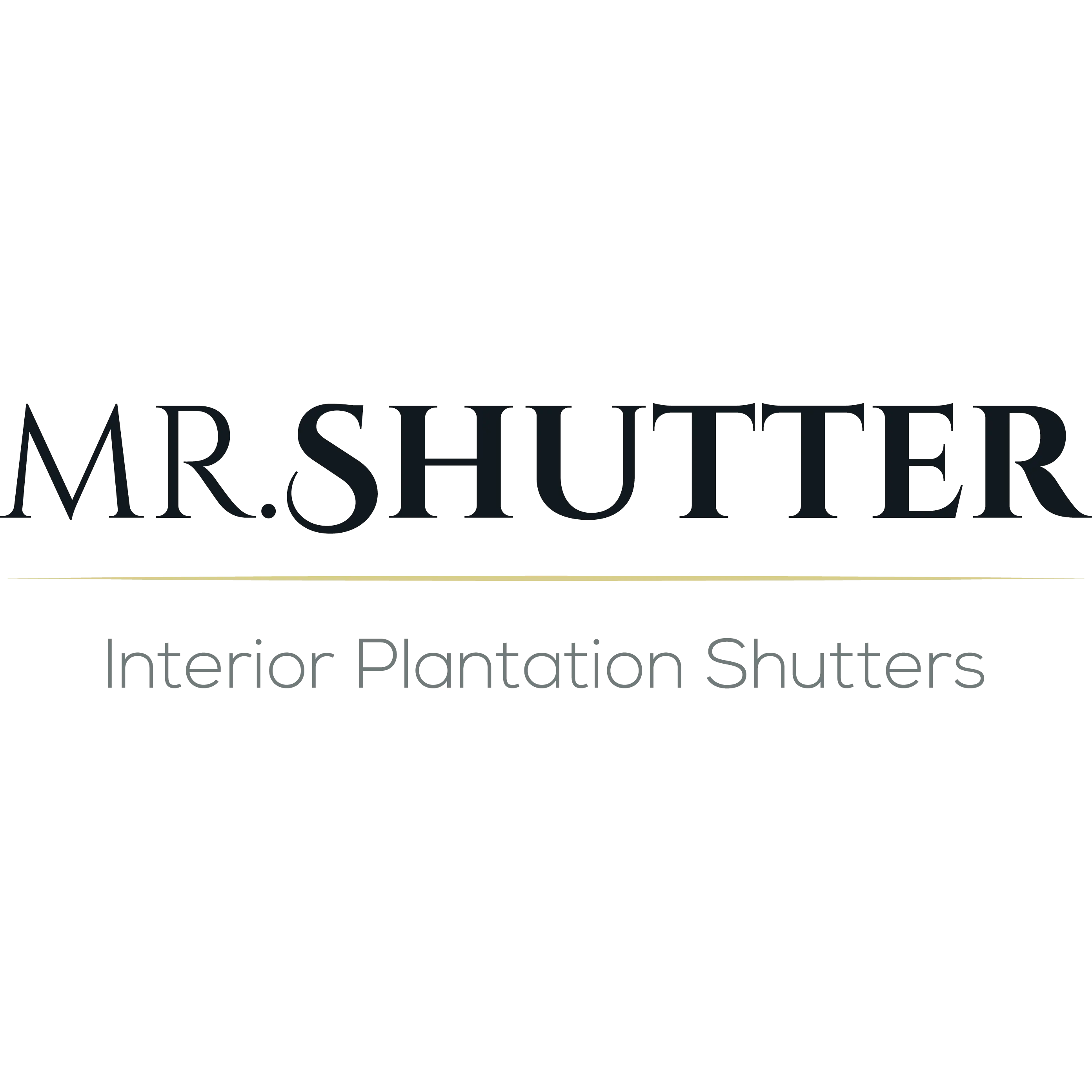 Mr. Shutter