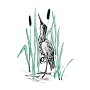 Southern Aquatic Management, Inc.