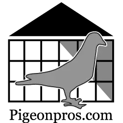 Pigeon Pros