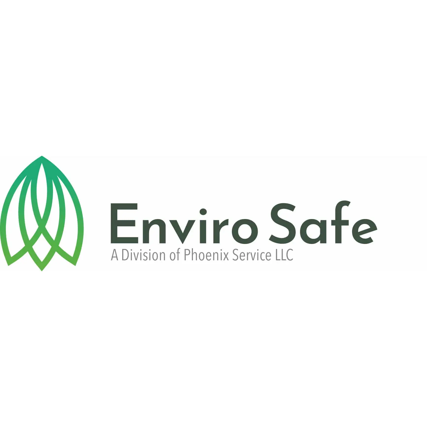ENVIROSAFE LLC
