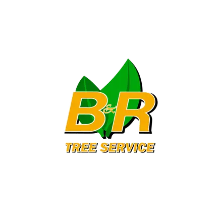 B&R Tree Service