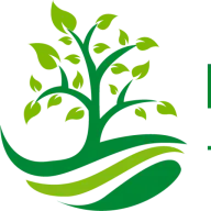 Plano Landscaping Company