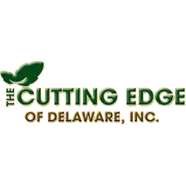 The Cutting Edge of Delaware Inc.