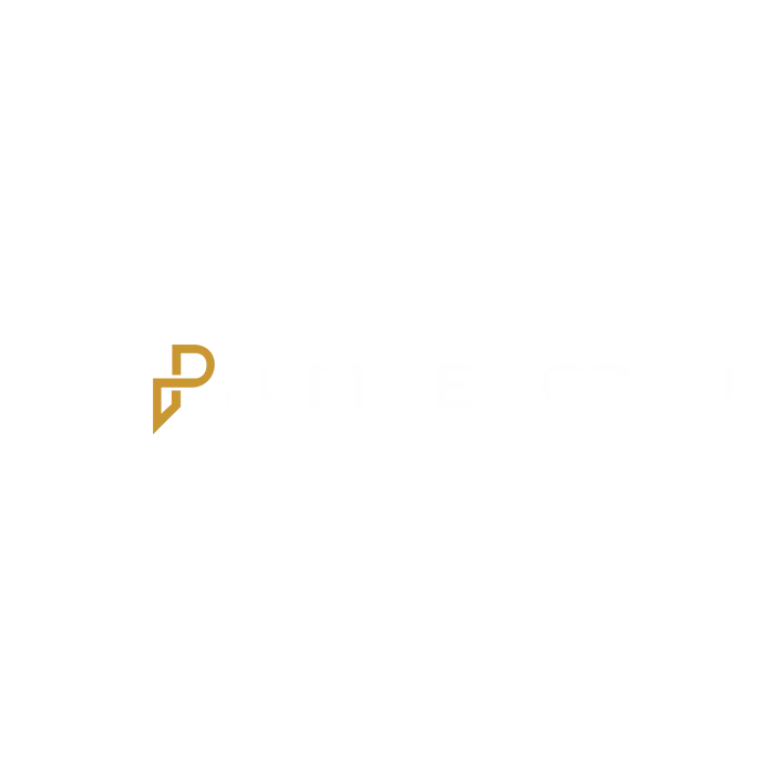 THE PLUMMER GROUP LLC