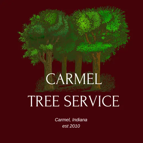 Carmel Tree Service