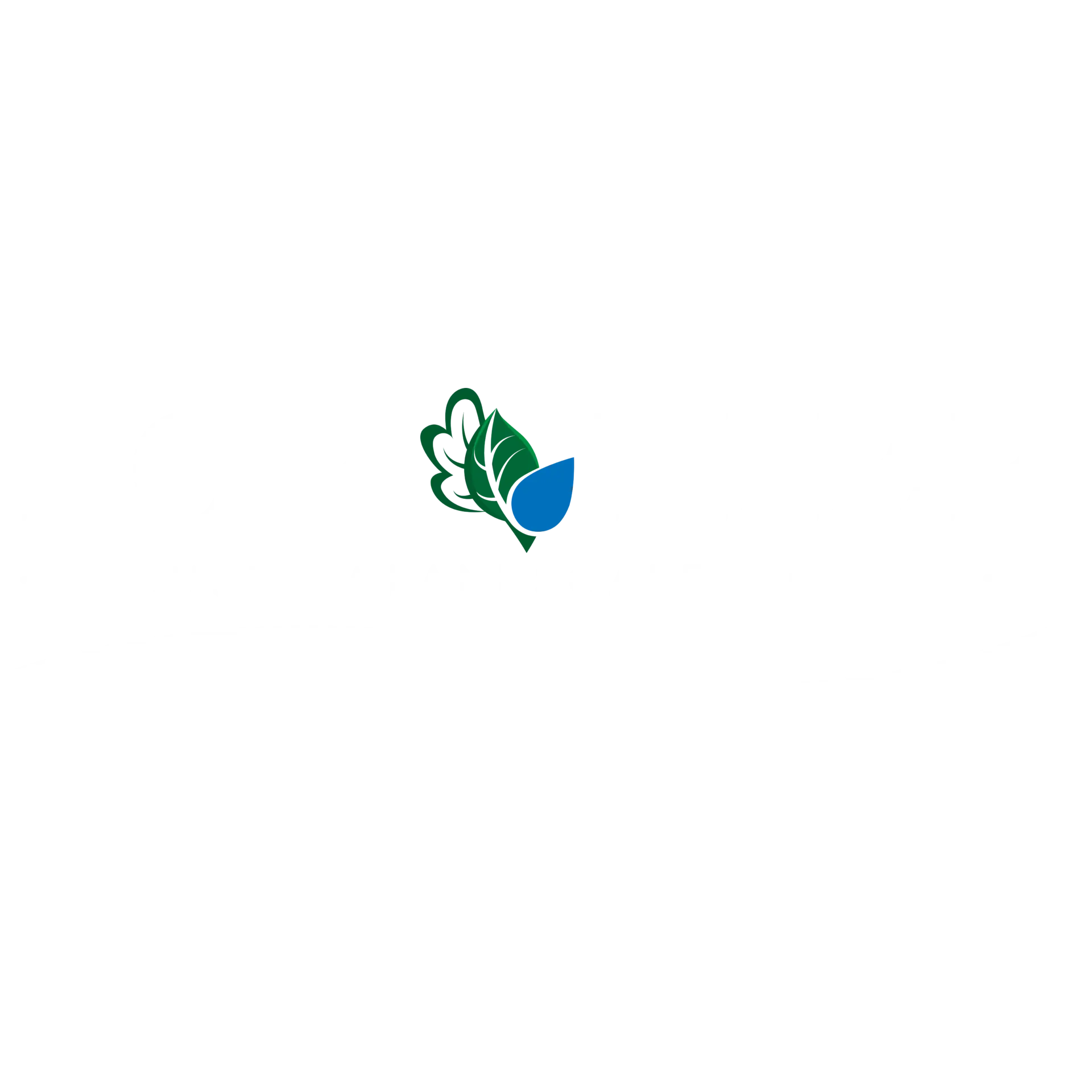Top Tier Custom Landscape