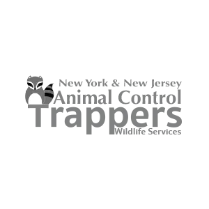 New York & New Jersey Animal Control Trappers