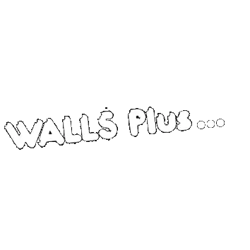 Walls Plus