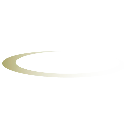 Larkin & Associates, LLC