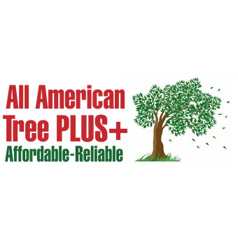 All American Tree Plus