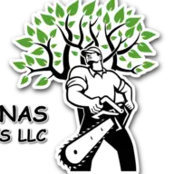 Jose Salinas Tree Services LLC
