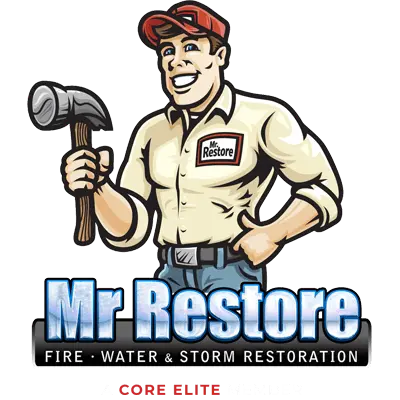 Mr. Restore