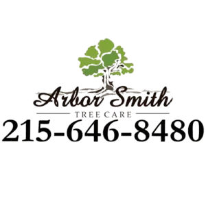 Arbor Smith LLC
