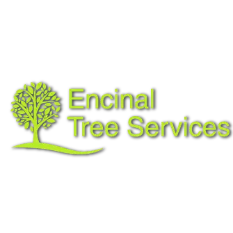 ENCINAL TREE SERVICE INC