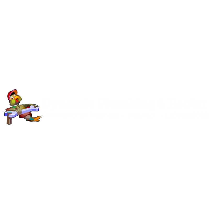 DYNAMIC PLUMBING & ROOTER