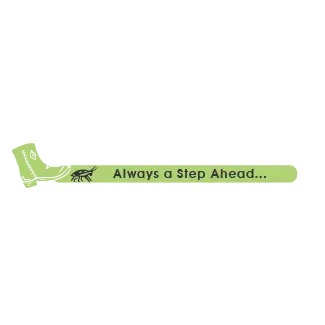 R & R Pest Control Services