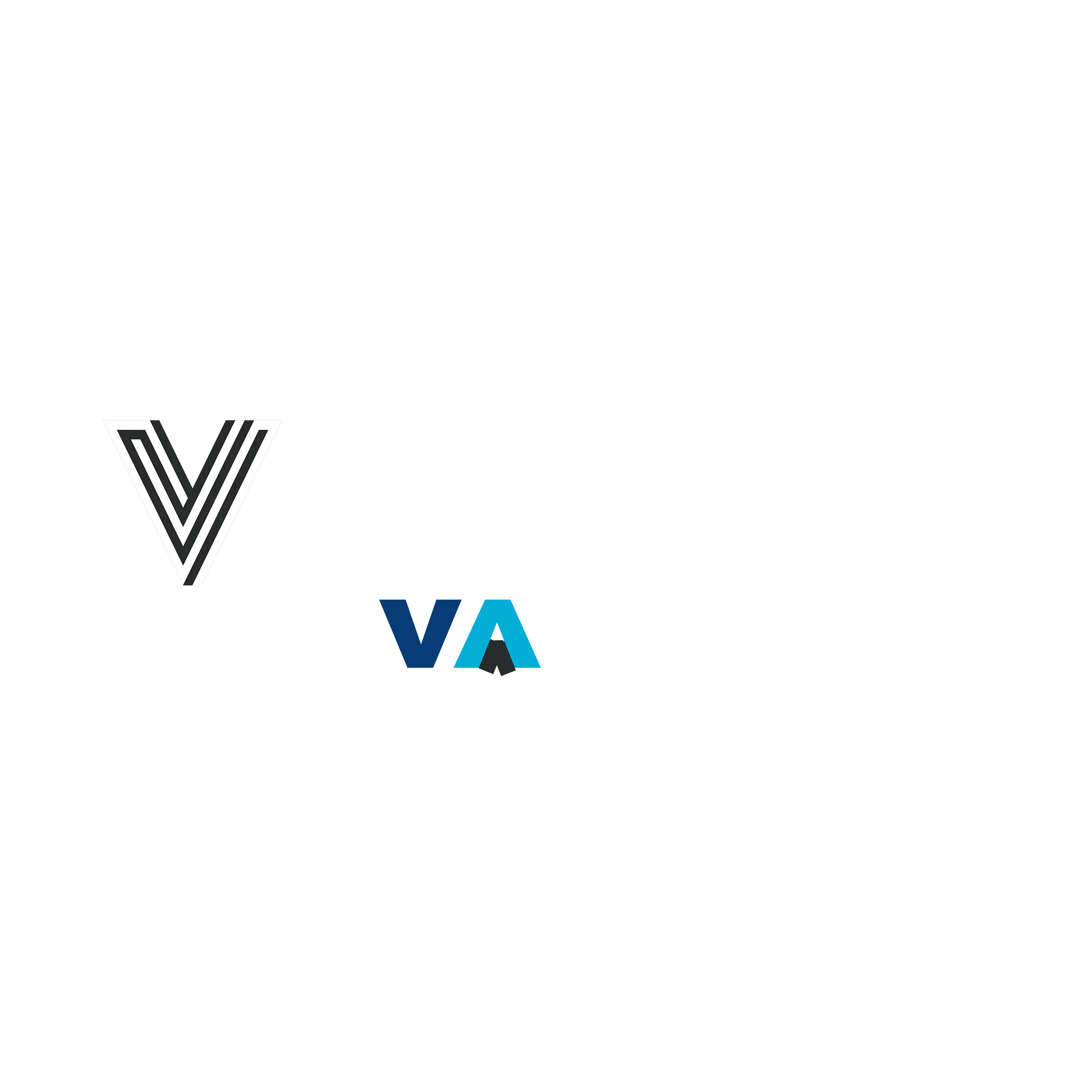 VTECH ELEVATOR CO